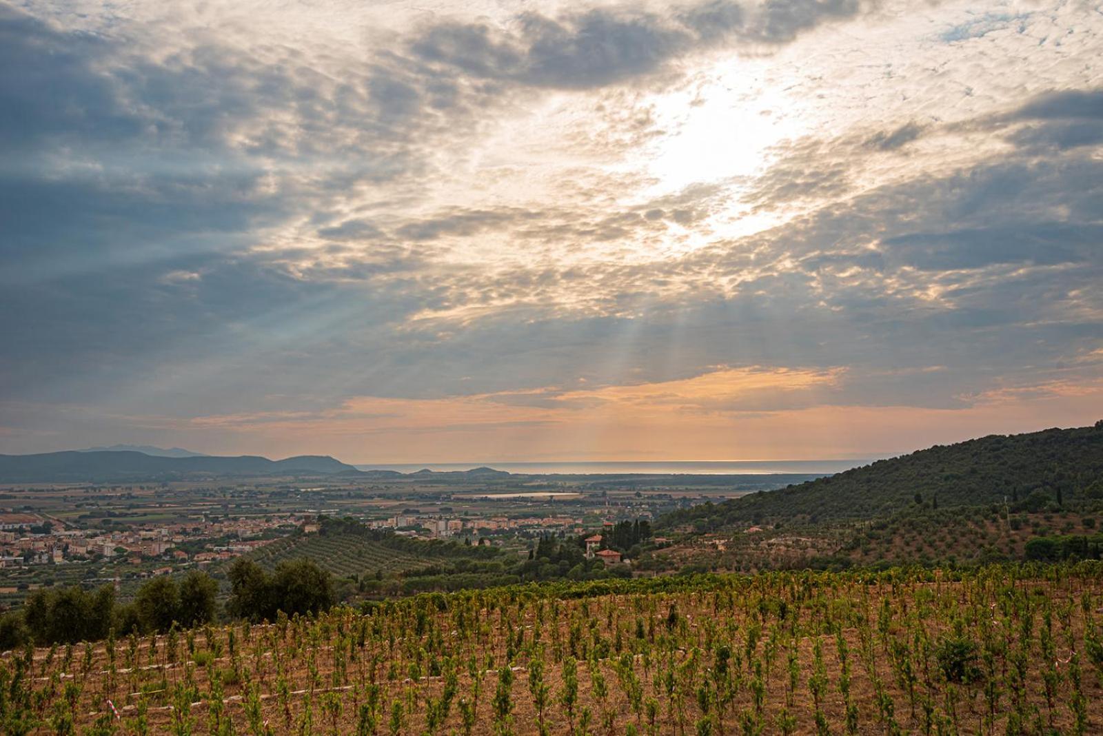 Castello Bonaria Wine & Spa Resort Campiglia Marittima Dış mekan fotoğraf